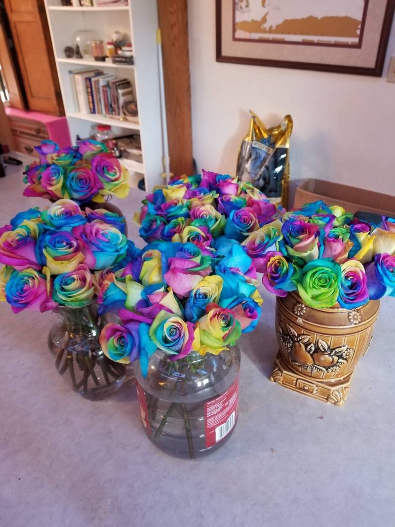 Rainbow Rose Petals - Image 3