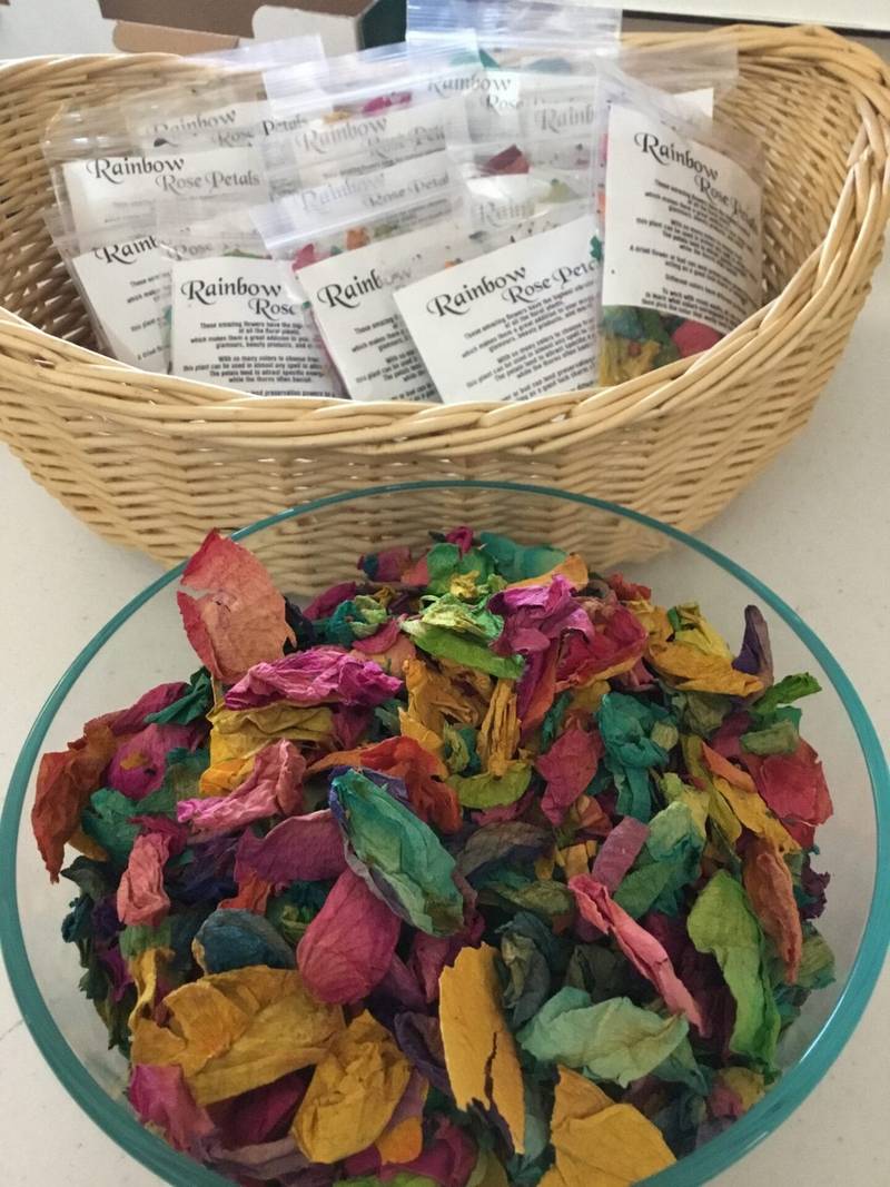 Rainbow Rose Petals - Image 5