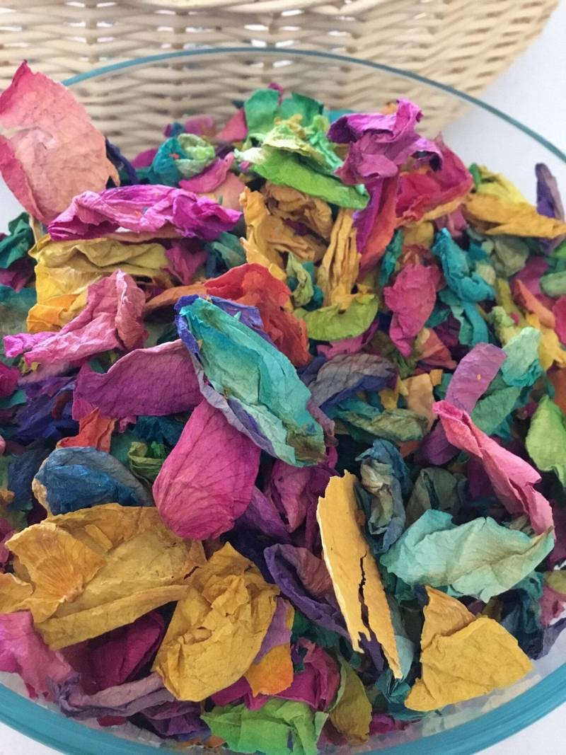 Rainbow Rose Petals